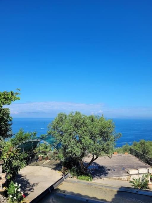 Sun & Relax, Relaxing Location With Seaview Villa Massa Lubrense Dış mekan fotoğraf